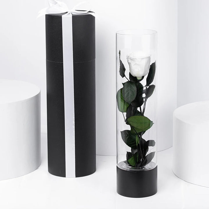 Luxury White Forever Rose in a Beautiful Glass Vase